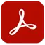 Adobe Acrobat Standard 25.1.20474