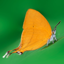 Butterflies of Singapore (NSS) 1.14
